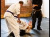 Checkmate Martial Arts Jujitsu Belt Test